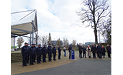 WIAD POLICJA M