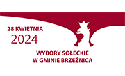 WYBORY SOLECKIE 2024